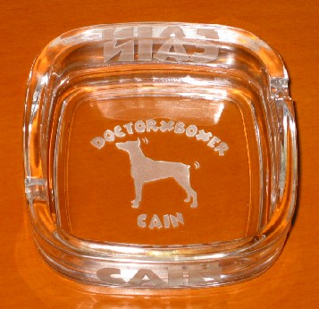 �J�C�� �D�M