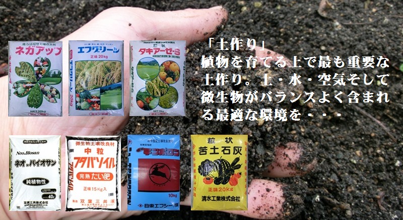 摜5:y̎ʐ^