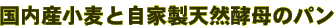 �����Y�����Ǝ��Ɛ��V�R�y��̃p��