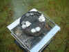 Hgtk0054.JPG (62593 バイト)