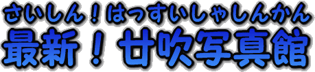 艉⍇hAKiȂǁAFȎʐ^Ă񂱐I